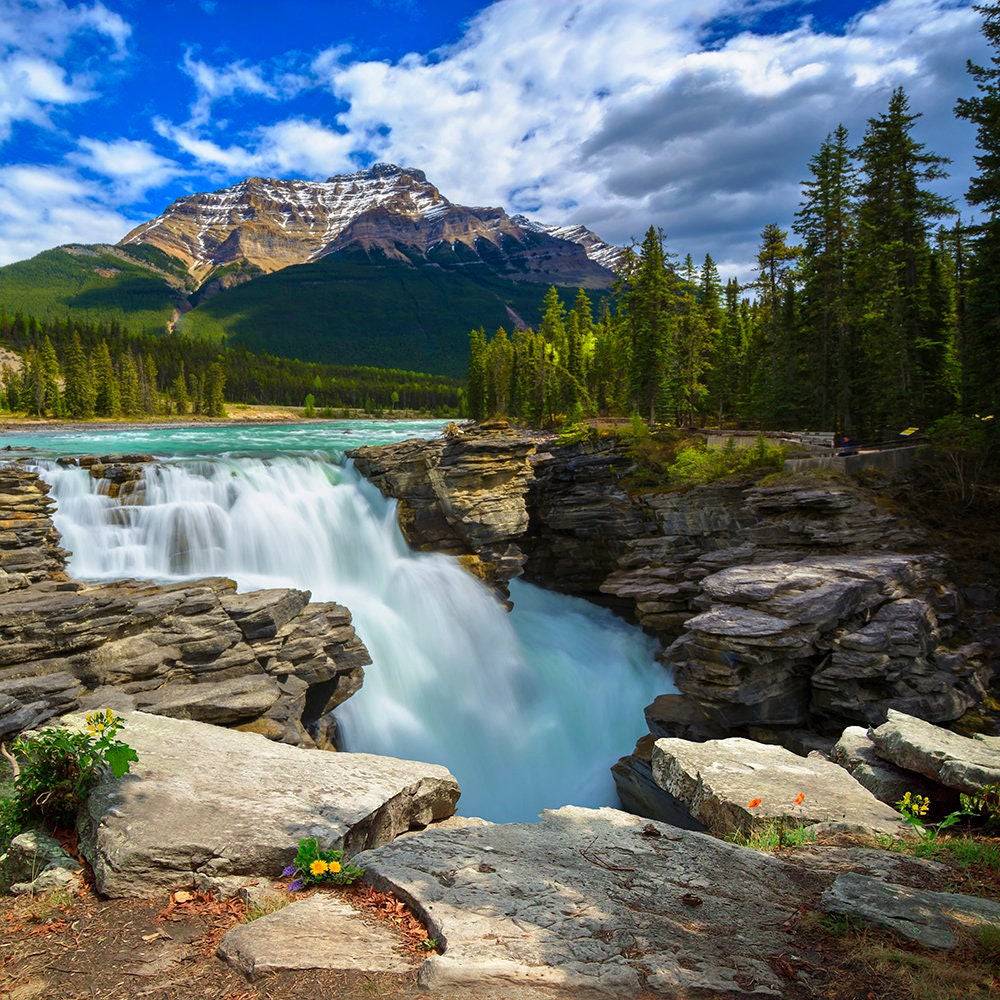 The Great Outdoors Photo Backdrop - Pro 10  x 10