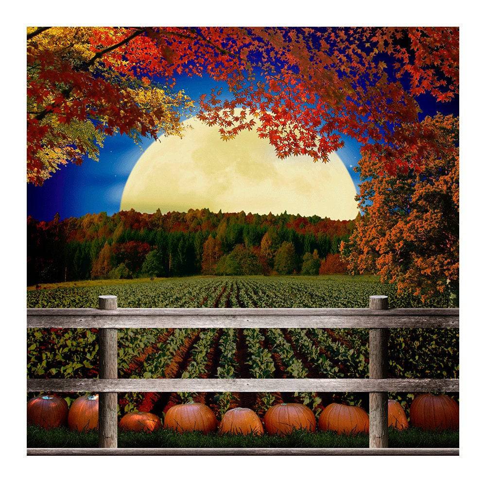 The Great Pumpkin Patch Photo Backdrop - Pro 8  x 8