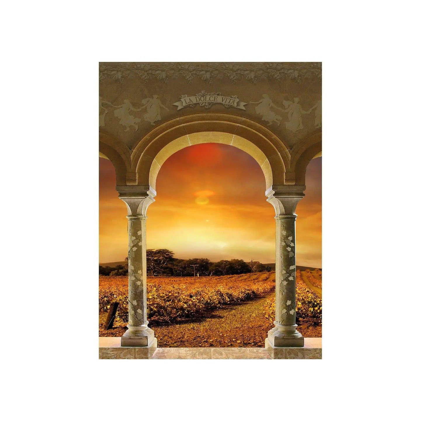 Tuscan Vineyard Sunset Archway Photo Backdrop - Basic 4.4 x 5