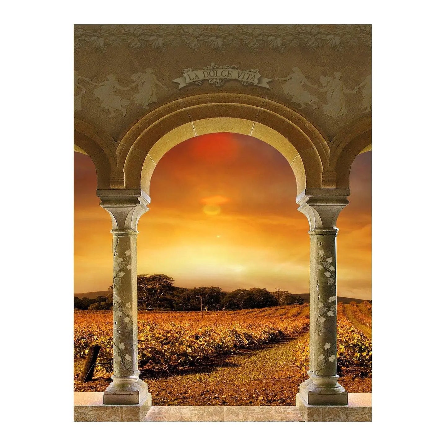 Tuscan Vineyard Sunset Archway Photo Backdrop - Pro 6 x 8