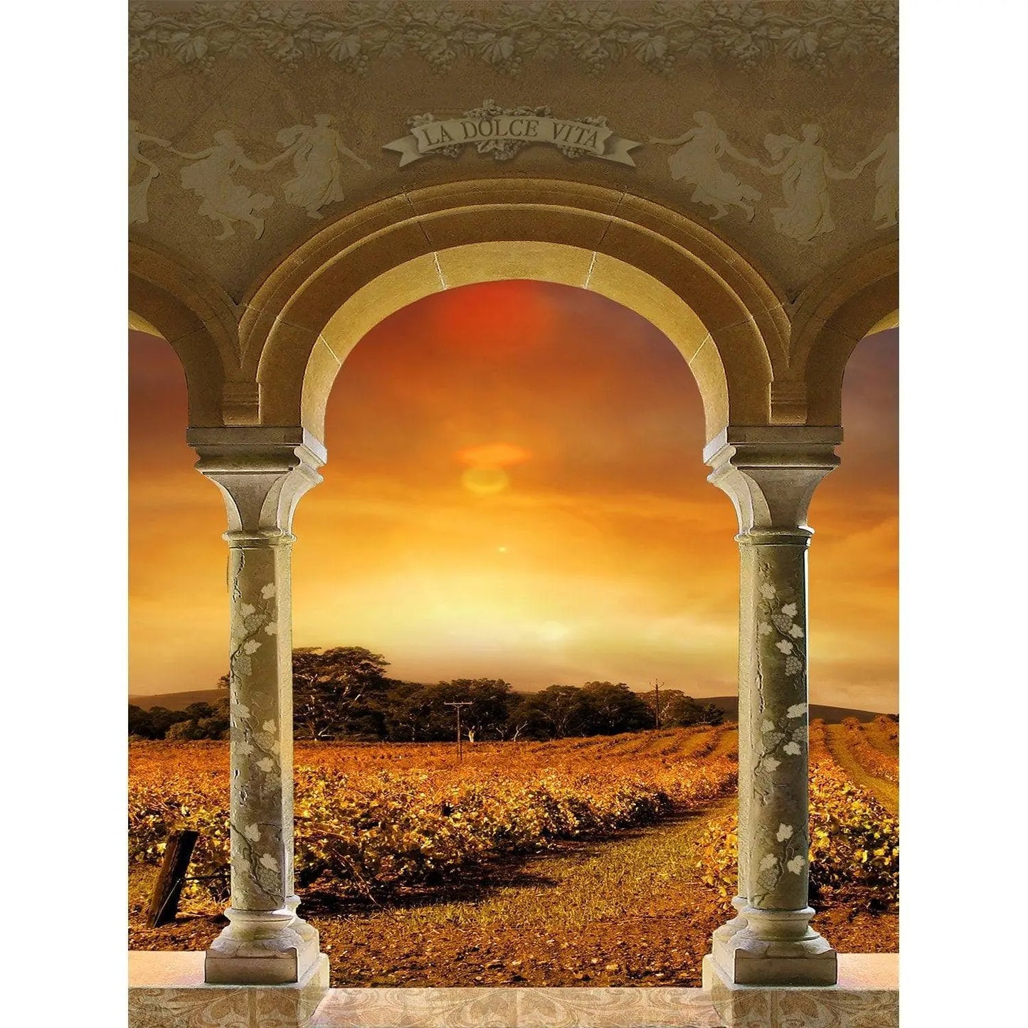 Tuscan Vineyard Sunset Archway Photo Backdrop - Pro 8 x 10