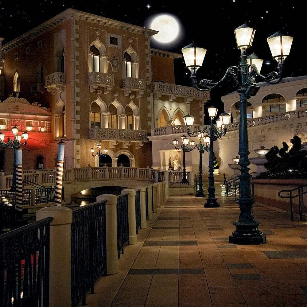 Venice Italy City At Night Photo Backdrop - Basic 10  x 8