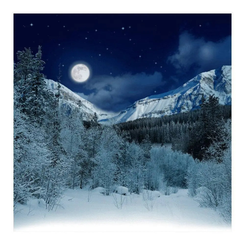 White Snowy Alpine Photo Backdrop - Basic 8  x 8