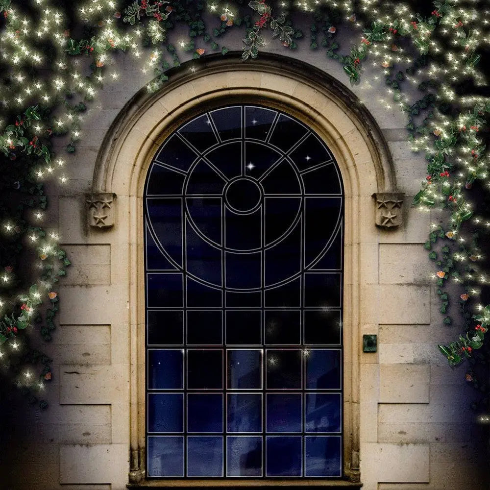 Chapel Window Arch Photography Backdrop - Pro 10  x 10