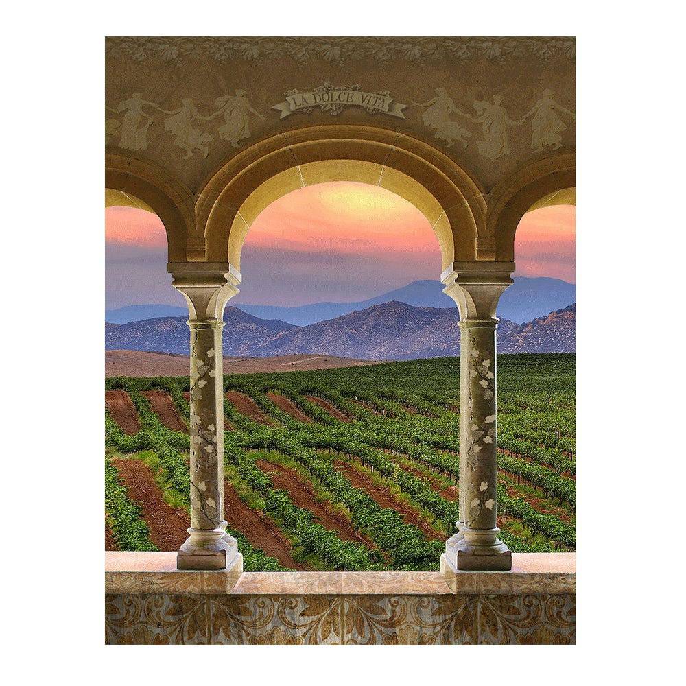 Wine Country Vineyard Columns Photography Backdrop - Basic 6  x 8