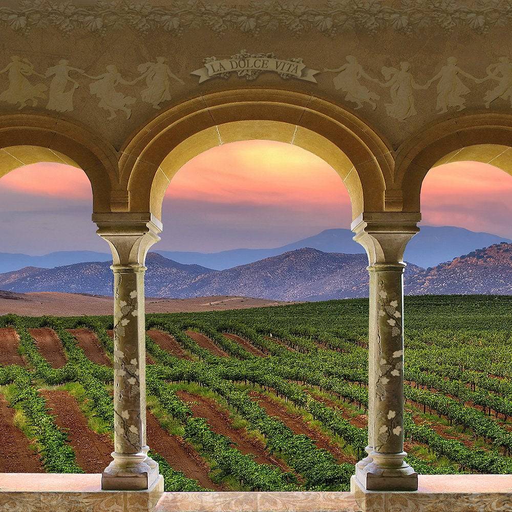 Wine Country Vineyard Columns Photography Backdrop - Pro 10  x 10