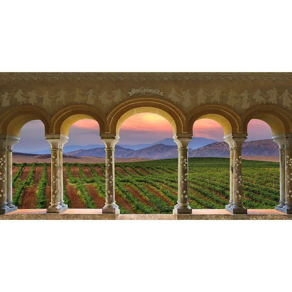 Wine Country Vineyard Columns Photography Backdrop - Pro 20  x 10