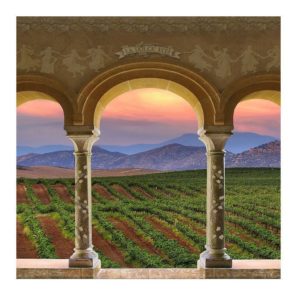 Wine Country Vineyard Columns Photography Backdrop - Pro 8  x 8