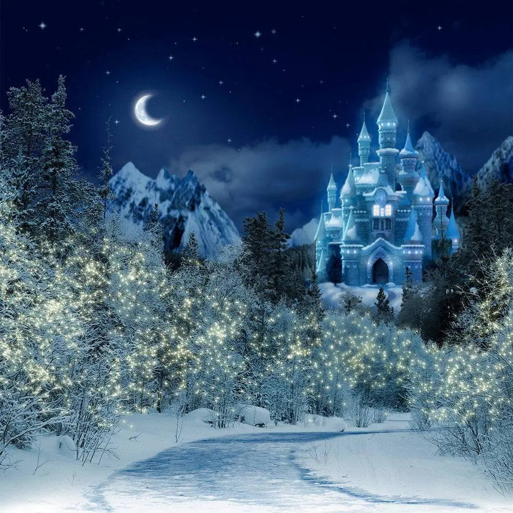 Snowy Winter Castle At Night Photo Backdrop - Basic 10  x 8
