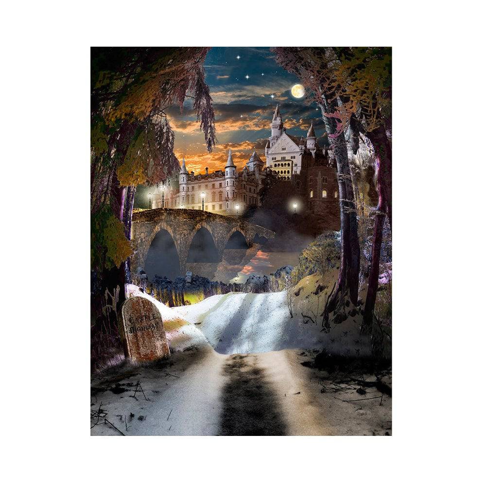 Ominous Winter Castle Photography Backdrop - Basic 5.5 x 6.5