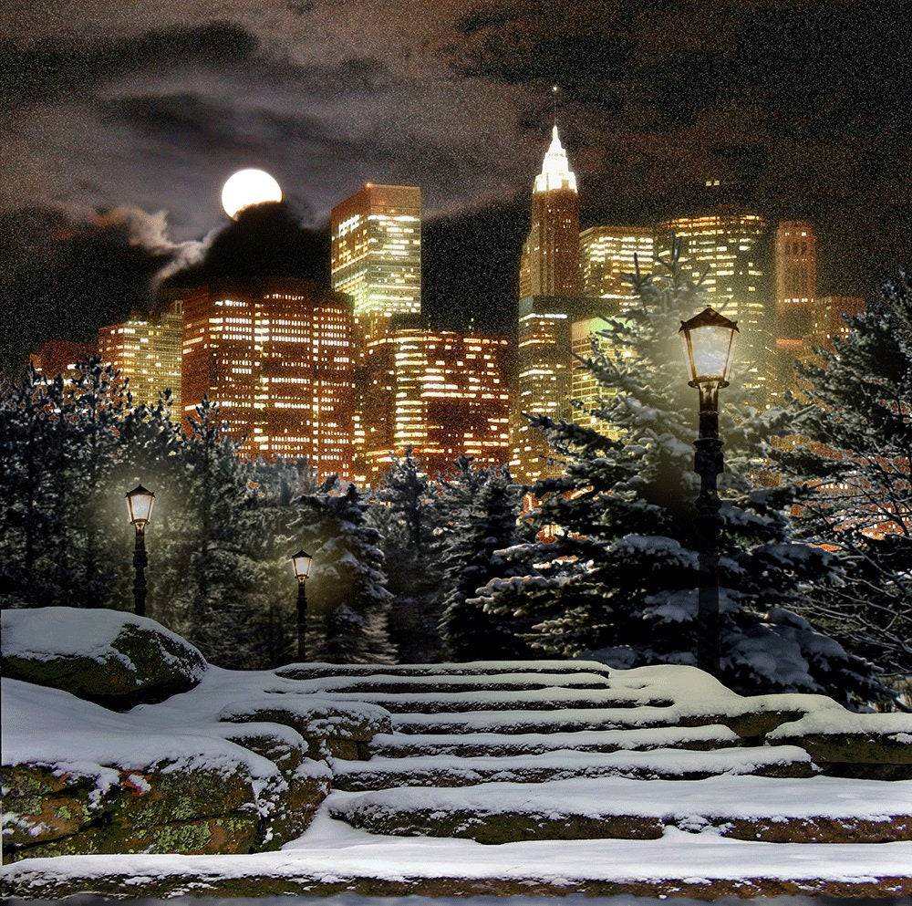 Winter City At Night Photo Backdrop - Basic 10 x 8