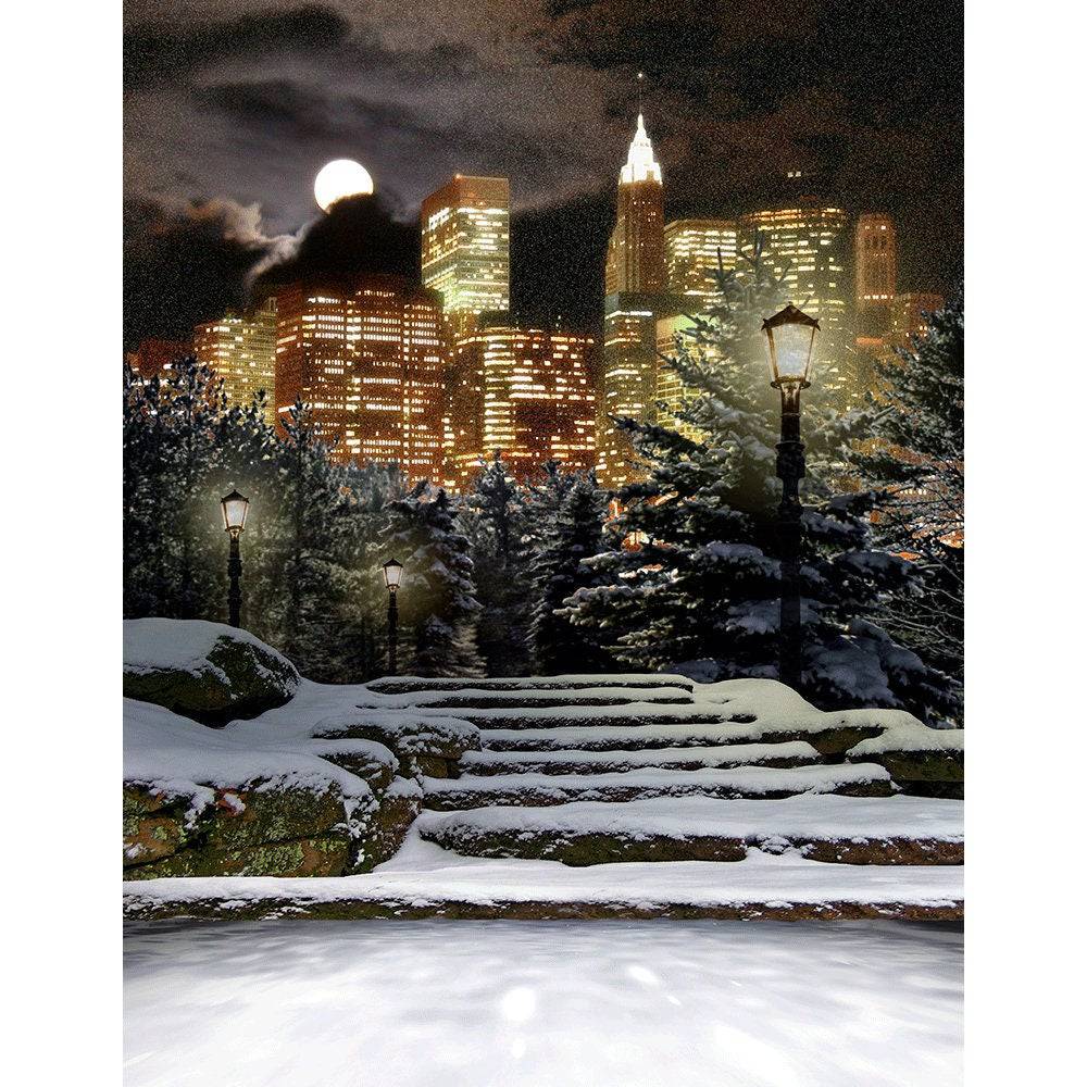 Winter City At Night Photo Backdrop - Basic 8 x 10