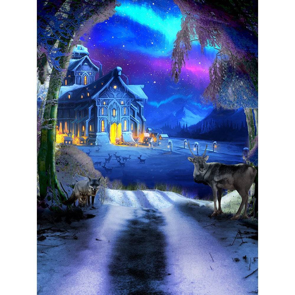 Winter Wonderland Photo Backdrop - Basic 8 x 10
