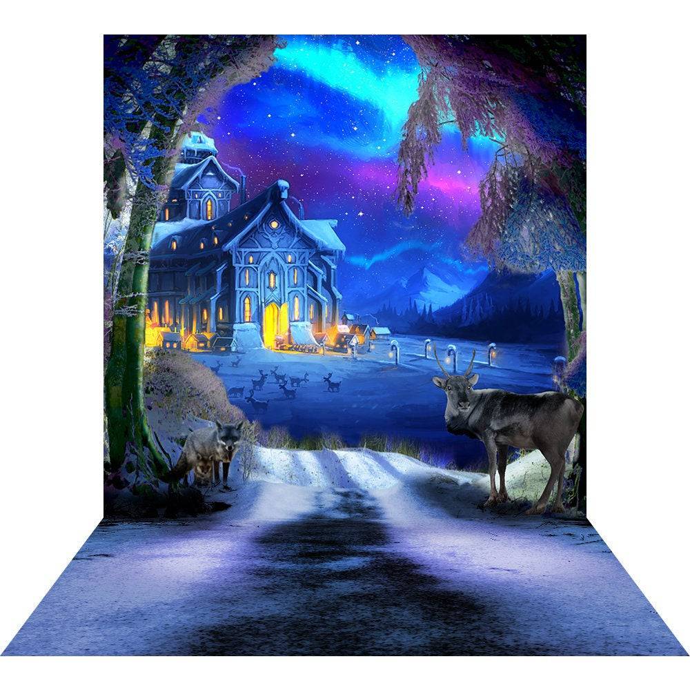 Winter Wonderland Photo Backdrop Background - Basic 8 x 16