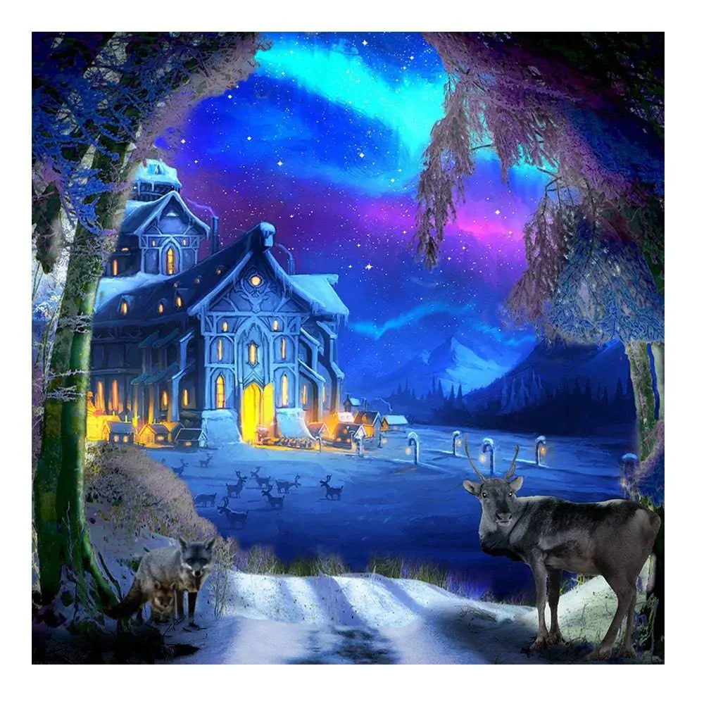 Winter Wonderland Photo Backdrop - Basic 8  x 8