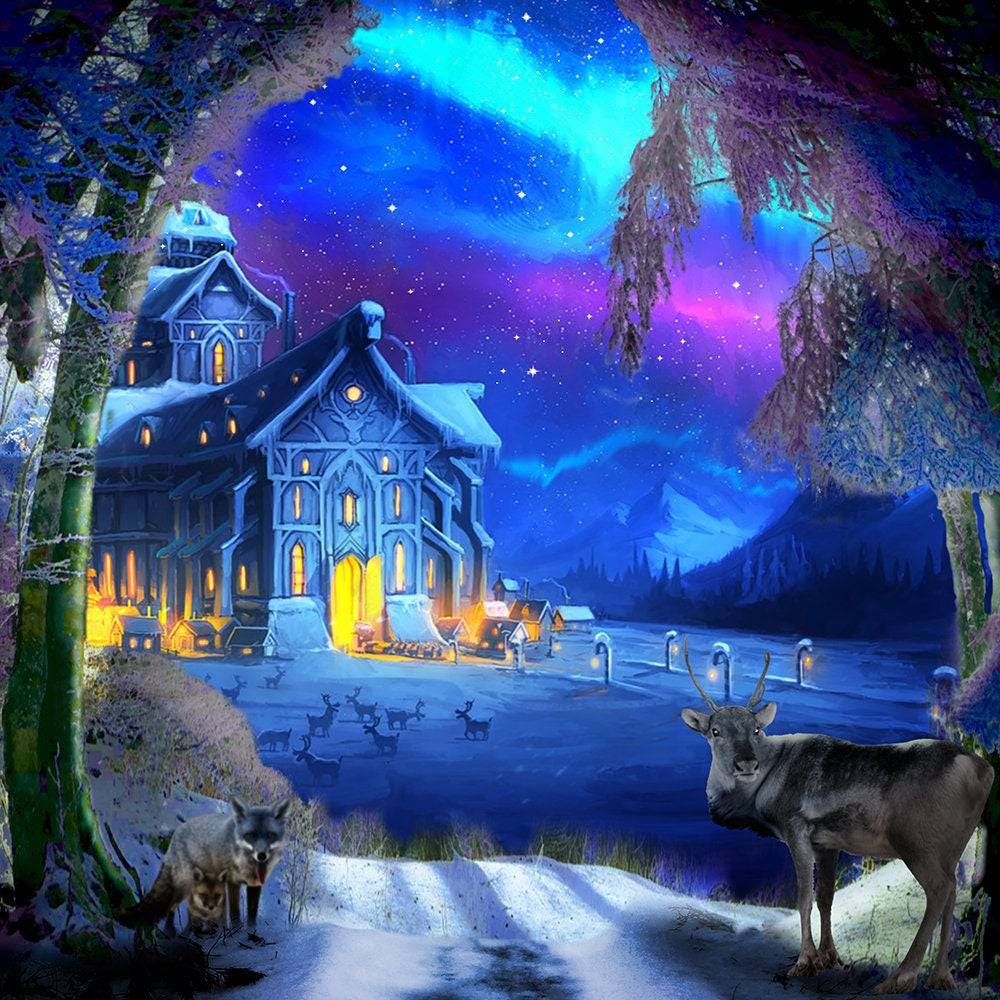 Winter Wonderland Photo Backdrop - Pro 10 x 8