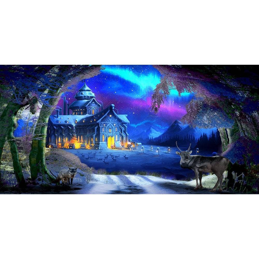 Winter Wonderland Photo Backdrop - Pro 20 x 10
