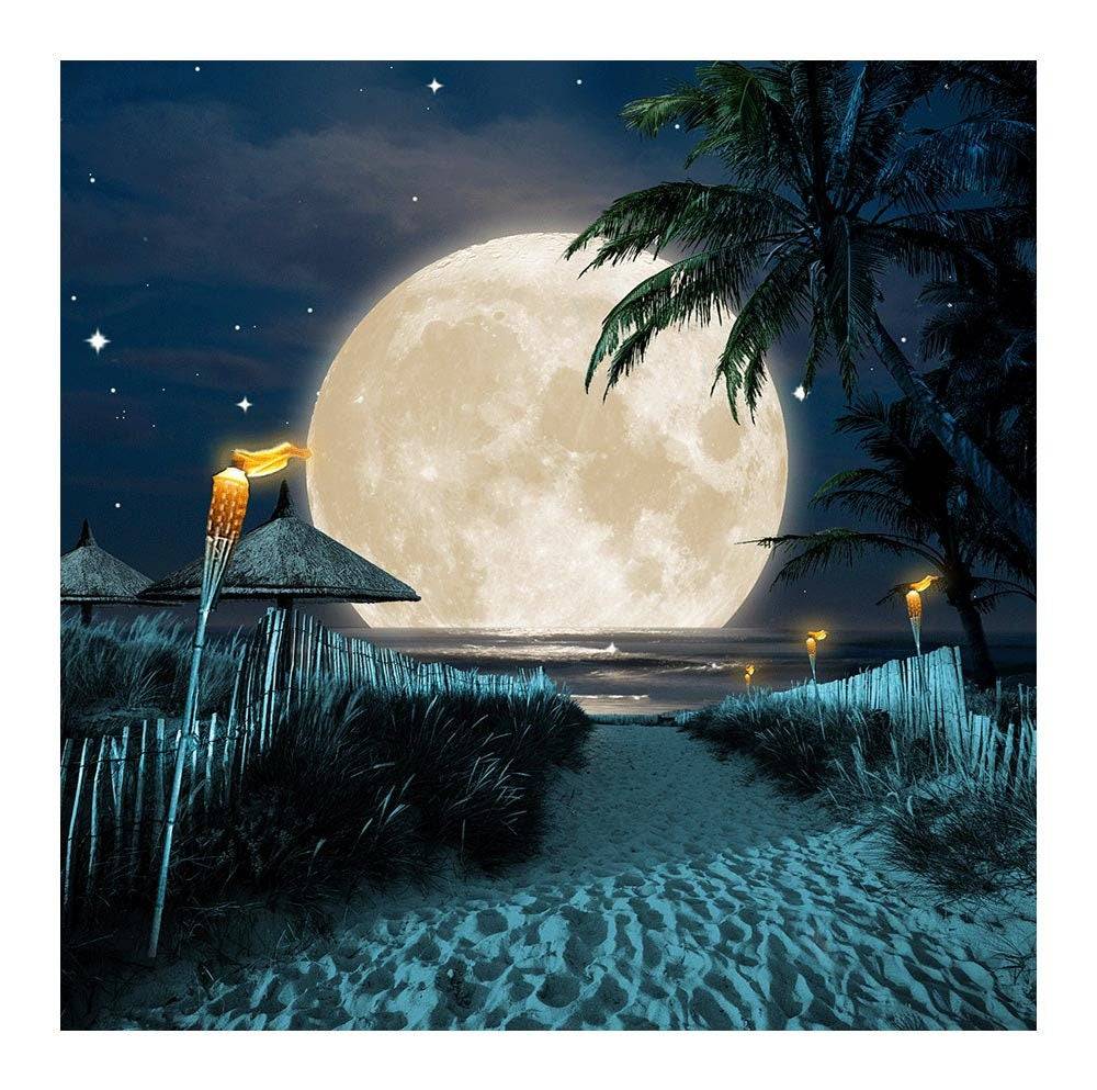 Night Time Full Moon Beach Luau Photo Backdrop - Basic 8  x 8  