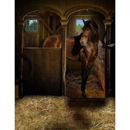 Horse In Stall Photography Backdrop - Basic 8  x 10  