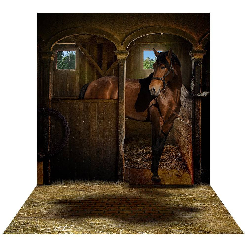Horse In Stall Photography Backdrop - Basic 8  x 16  