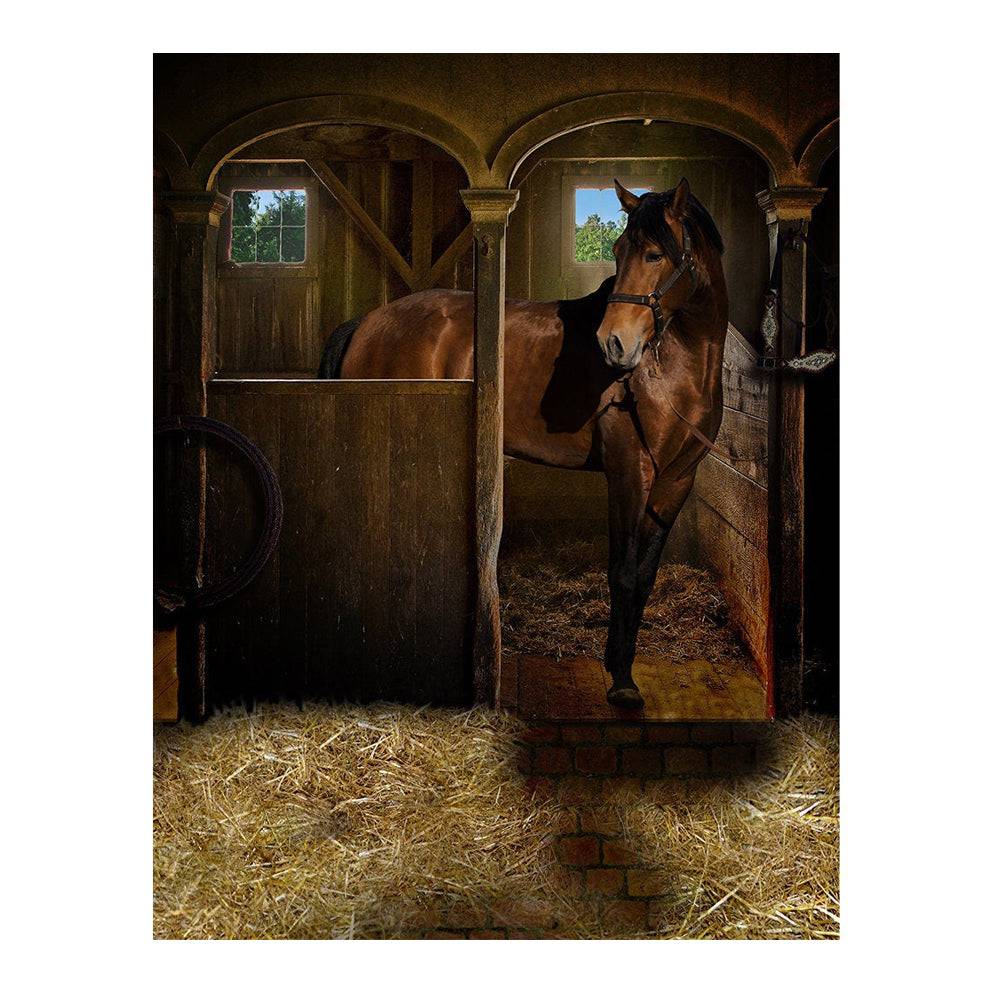 Horse In Stall Photography Backdrop - Pro 6  x 8  