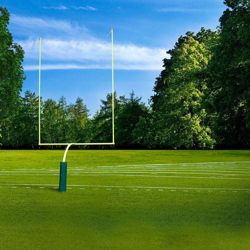 High School Football Field Backdrop - Pro 10  x 8  