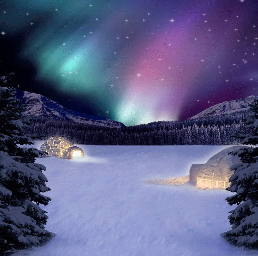 Purple Northern Lights Photo Backdrop - Pro 10  x 10  