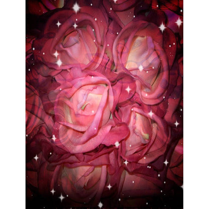Valentine's Day Starry Roses Photography Backdrop - Basic 8  x 10  