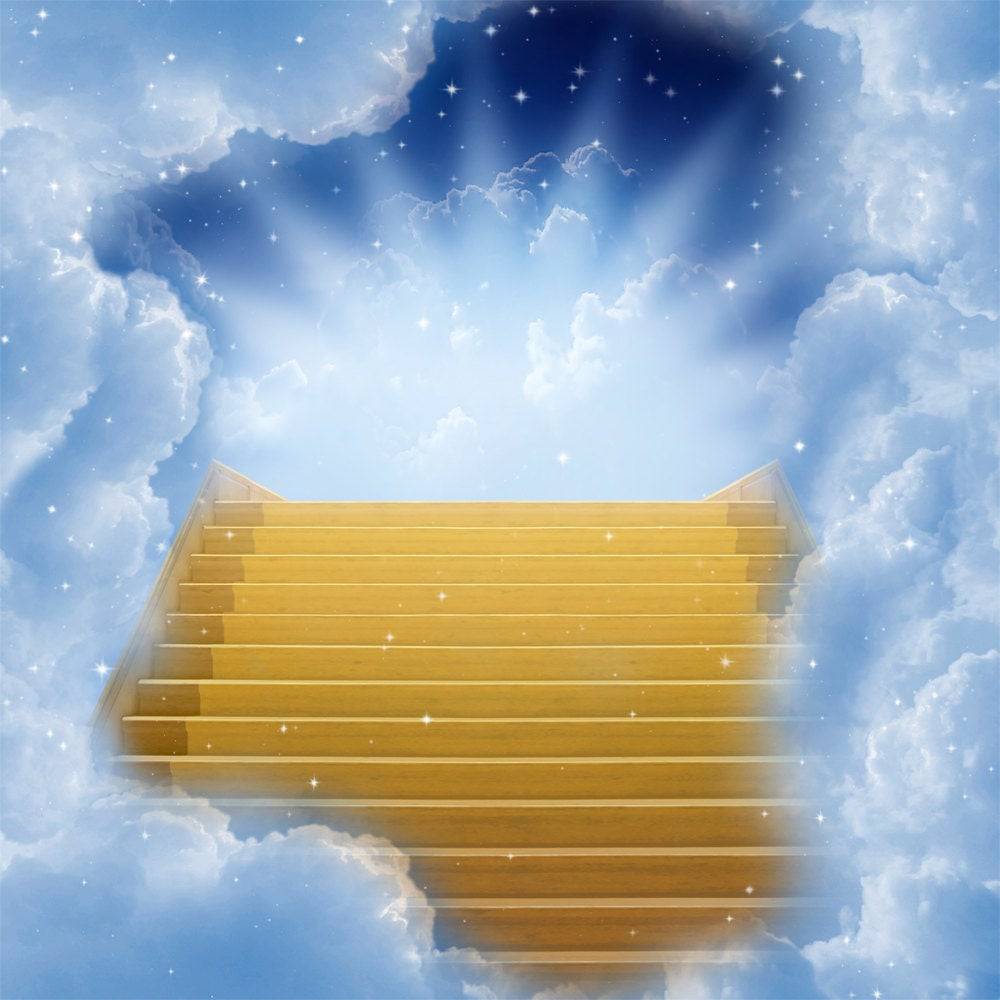 Stairway to Heaven Photography Backdrop - Pro 10  x 10  