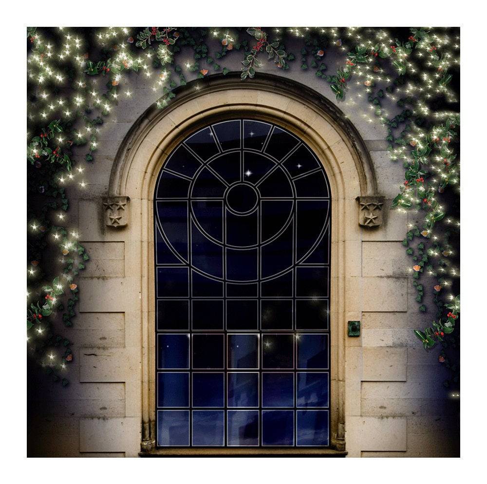 Chapel Window Arch Photography Backdrop - Basic 8  x 8  
