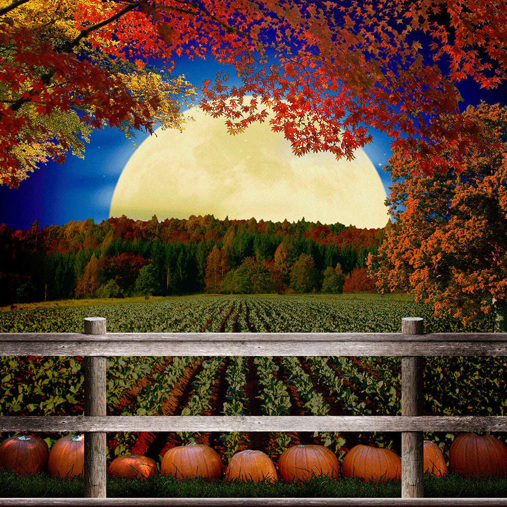 Pumpkin Patch Backdrop