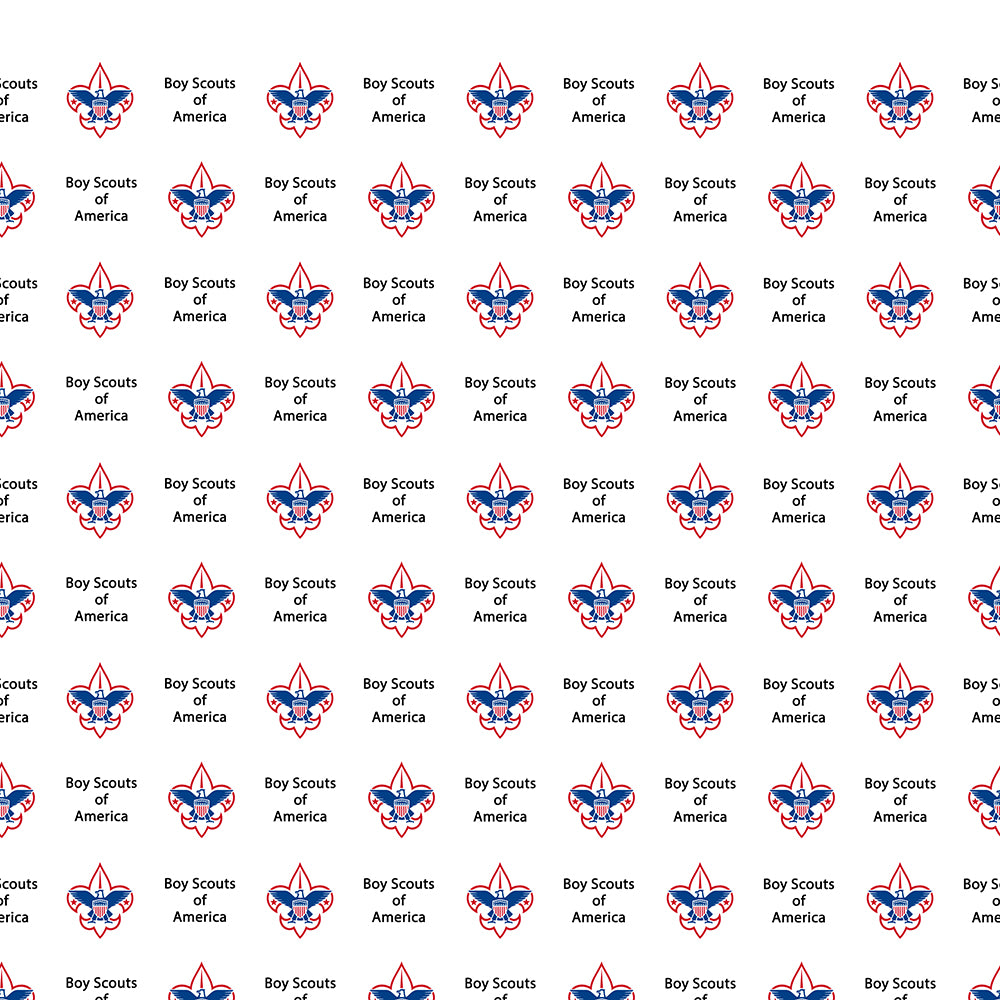 Boy scouts of America Step & Repeat Fabric Banner