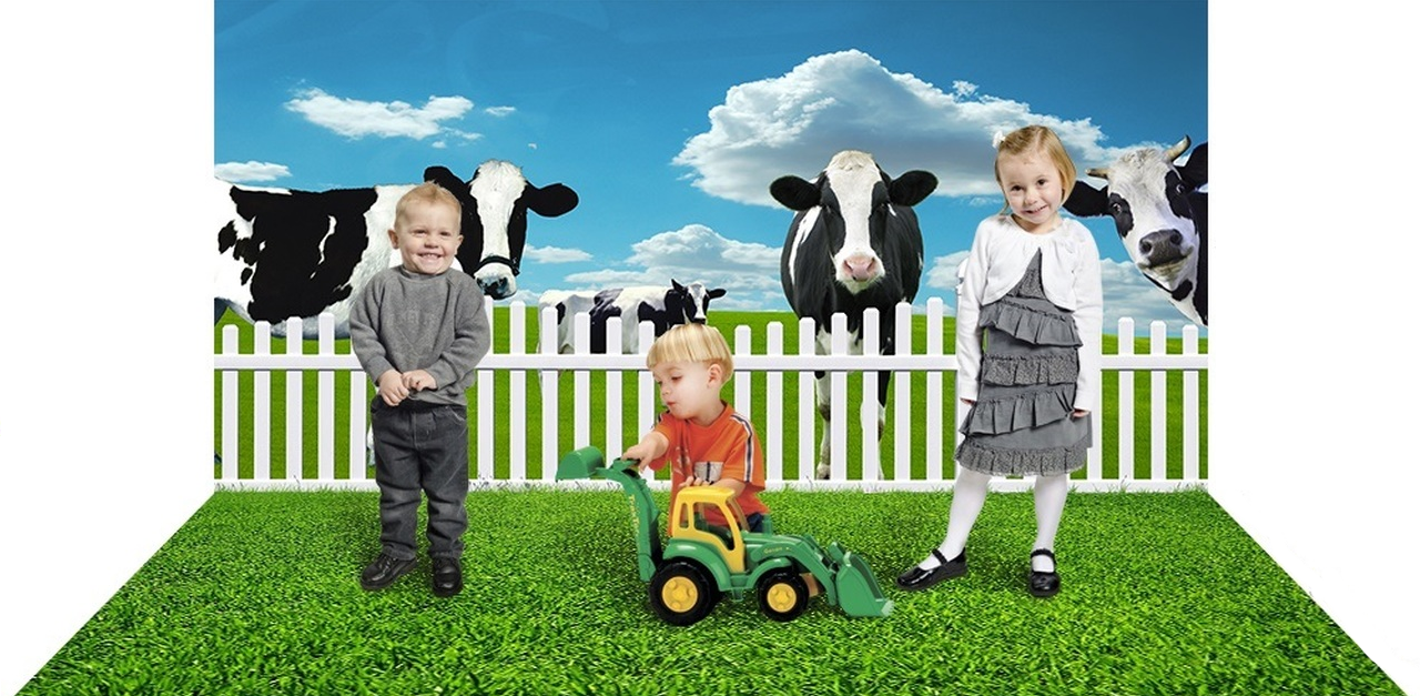 Alba Backgrounds Contact Page Children White Picket Fence Cows