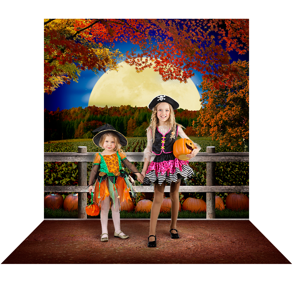 Pumpkin Patch Backdrop