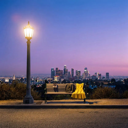 La La Land City View Backdrop, Movie Photo Banner, Los Angeles Themed Fabric Decor (Copy) Alba Backgrounds