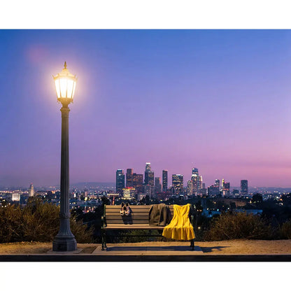 La La Land City View Backdrop, Movie Photo Banner, Los Angeles Themed Fabric Decor (Copy) Alba Backgrounds