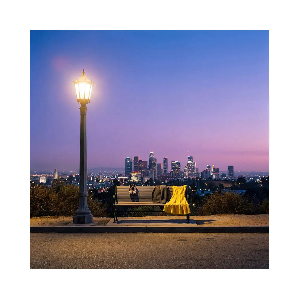 La La Land City View Backdrop, Movie Photo Banner, Los Angeles Themed Fabric Decor (Copy) Alba Backgrounds