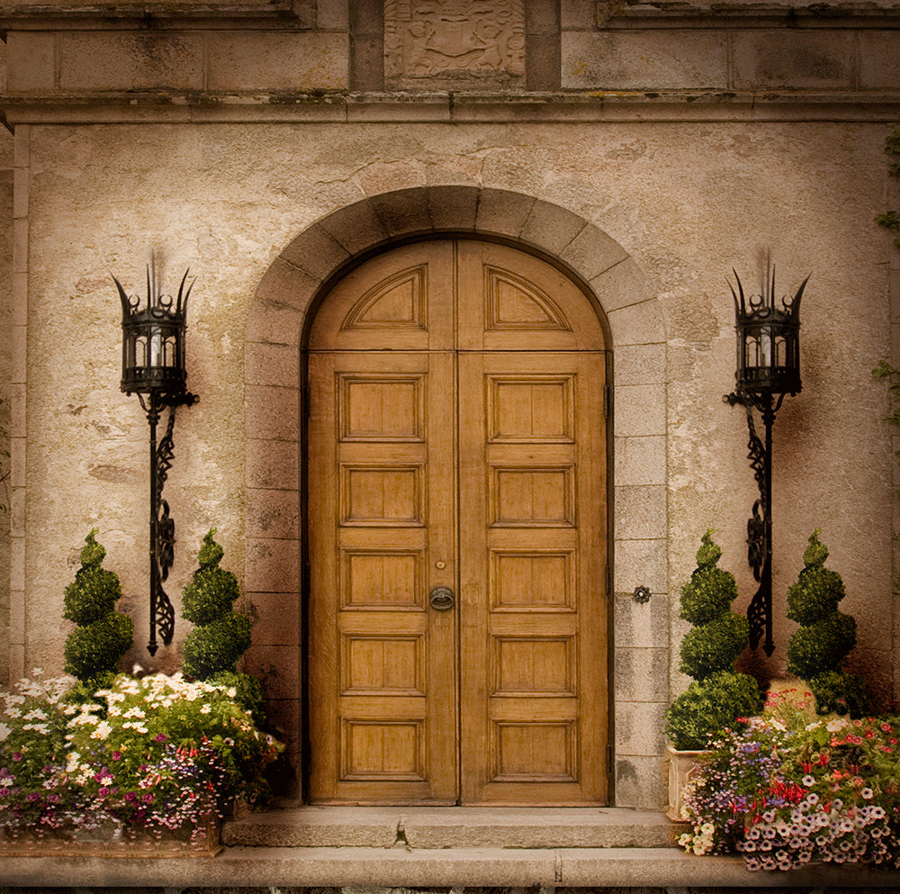 Camelot Castle Door Photography Backdrop