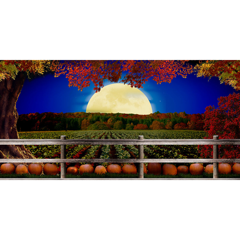 Pumpkin Patch Backdrop