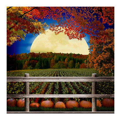 Pumpkin Patch Backdrop