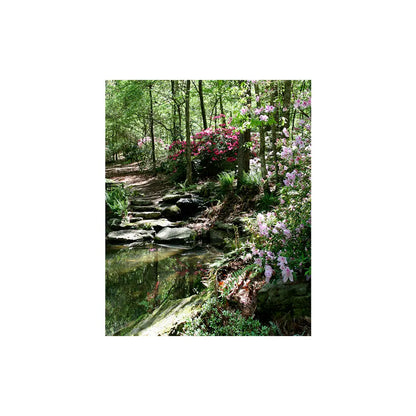 Azalea Pond Studio Backdrop, Background Alba Backgrounds