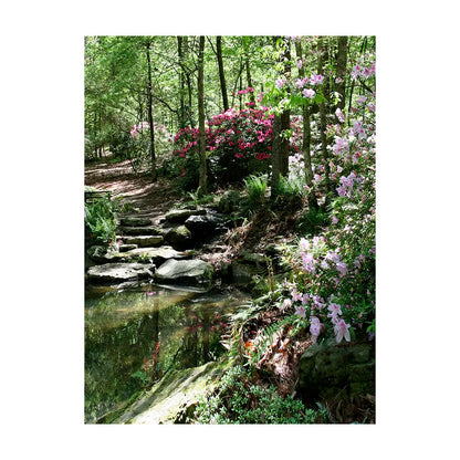 Azalea Pond Studio Backdrop, Background Alba Backgrounds