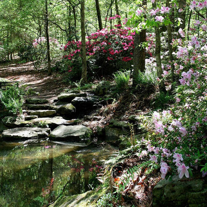 Azalea Pond Studio Backdrop - Pro 10  x 10  