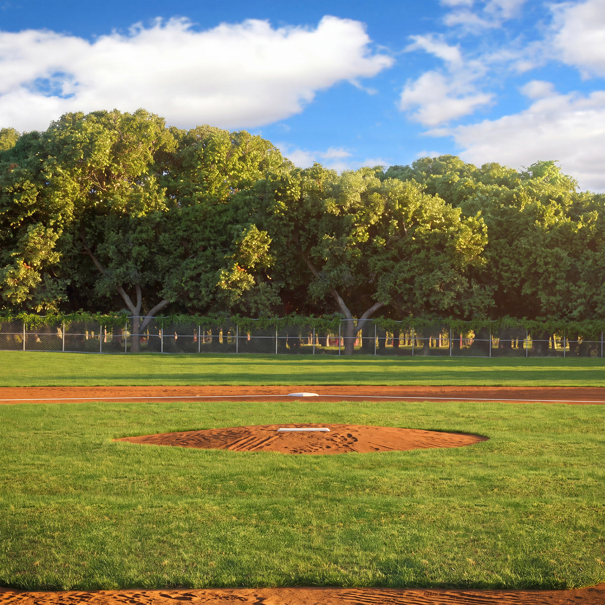 Home Plate Baseball Daytime Photo Backdrop