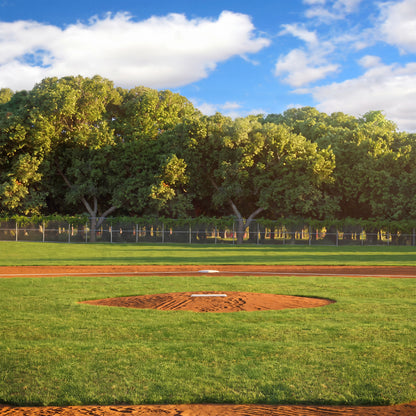 Home Plate Baseball Daytime Photo Backdrop