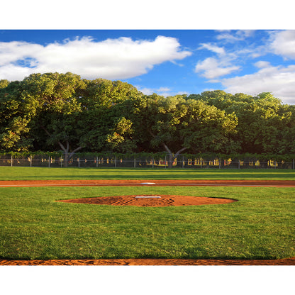 Home Plate Baseball Daytime Photo Backdrop