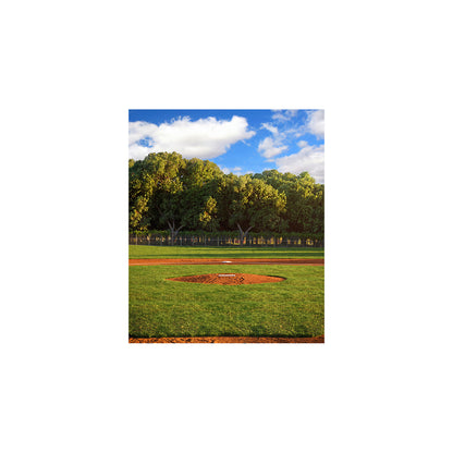 Home Plate Baseball Daytime Photo Backdrop