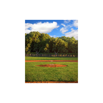 Home Plate Baseball Daytime Photo Backdrop