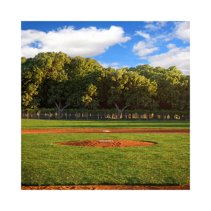 Home Plate Baseball Daytime Photo Backdrop