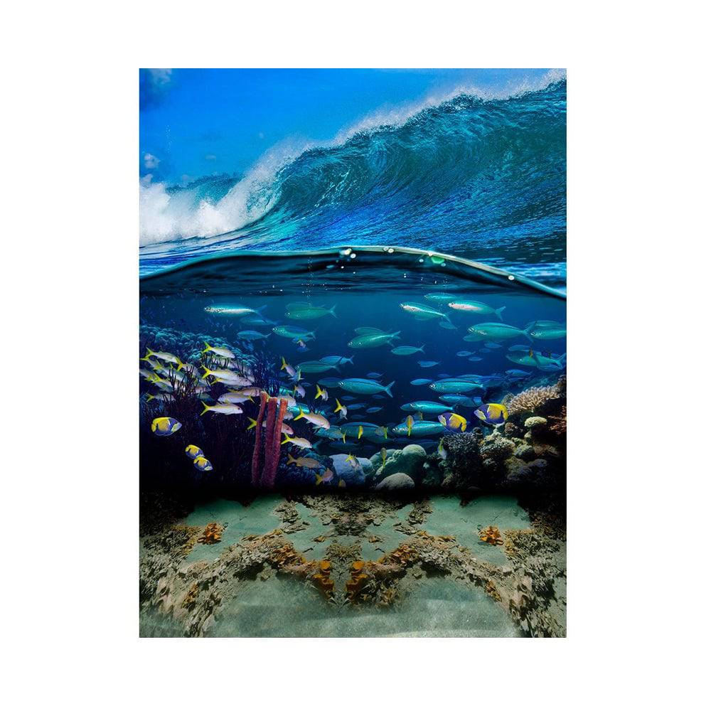 Fish Under The Sea Photo Backdrop - Basic 5.5  x 6.5  